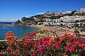 View of beach over flowers, Puerto Rico, Gran Canaria, Canary Islands
