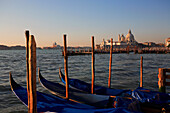 Gondolas and the church of Santa Maria della Salute, Venice, Veneto, Italy