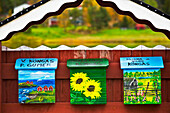 Colourful letter boxes, Kongas, Lapland, Finland