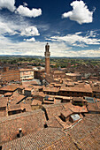View of the Piazza del Campo with the Torre del Mangia, Siena, Tuscany, Italy
