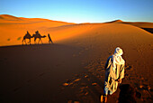 Camel being led in the desert, Merzouga, Morocco