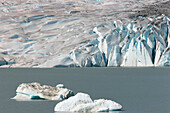 Glacier, Inside Passage, Alaska, USA