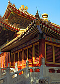 View of pavilion in the Forbidden City, Beijing, China