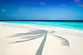Palm tree shadow on beach, General, The Maldives
