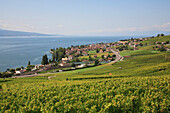 Lakeside villages and vineyards, General, Vaud Canton, Switzerland