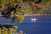 Gulet in bay, Icmeler, Mediterranean, Turkey