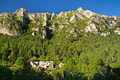 Gorges du Tarn, Cevennes National Park, Languedoc-Roussillon, France