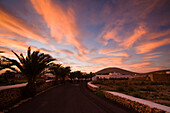 Dorfstrasse mit Palmen bei Sonnenaufgang, Tuineje, Fuerteventura, Kanarische Inseln, Spanien, Europa
