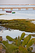 Laguna at the Ria Formosa, Quinta de Marim, Olhao, Algarve, Portugal