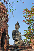 Buddha vor Prang, Ayutthaya, Wat Mahatat, Thailand, Asien