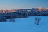 Bei Sonnenuntergang an Winterabend bei Gütenbach, Nähe Furtwangen, Schwarzwald, Baden-Württemberg, Deutschland, Europa