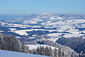 Blick an Wintermorgen von Breitnau-Fahrenberg zum Kandel, Schwarzwald, Baden-Württemberg, Deutschland, Europa