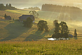 Sonnenaufgang im Oberen Jostal, Frühnebel, Sommer, Schwarzwald, Baden-Württemberg, Deutschland, Europa