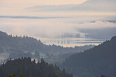 Blick auf Titisee von Feldberg-Bärental aus, Sommermorgen, Schwarzwald, Baden-Württemberg, Deutschland, Europa