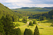 Albtal bei Menzenschwand, Sommertag, Schwarzwald, Baden-Württemberg, Deutschland, Europa