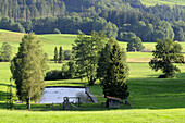 Natural swimming pool, Grainbach, Samerberg, Chiemgau, Bavaria, Germany