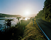 Highway 6 und Lake Wahapo bei Sonnenaufgang, Westland Nationalpark, Westküste, Südinsel, Neuseeland