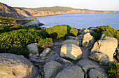 Blick auf Küstenlandschaft und Meer am Capo Sandalo, Isola di San Pietro, Süd Sardinien, Italien, Europa