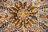 Decorated vaulted ceiling of Templo de Santa Maria, in Tonantzintla bei Cholula, State of Puebla, Mexico