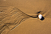 Blick auf einem kleinen Stein und Spuren vom Wasser im nassen Sand, Punta Conejo, Baja California Sur, Mexiko, Amerika