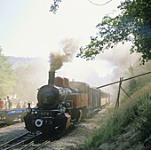 Mallet 030+030 413 Steam Locomotive,  Vivarais tourist train,  Ardeche,  Rhône-Alpes,  France