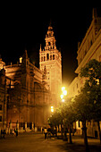 Giralda tower at night,  Sevilla. Andalucia,  Spain