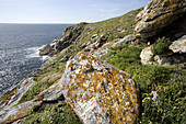 Ons island,  Atlantic Islands National Park,  Galicia,  Spain