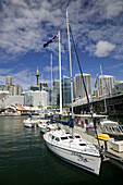 AUSTRALIA - New South Wales (NSW) - Sydney: City Skyline from Darling Harbour
