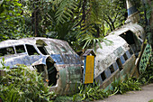 AUSTRALIA - Queensland - NORTH COAST - Kuranda: Old Airplane Wreck beside Kuranda Markets