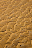 Dunes,  Namib desert,  Swakopmund,  Namibia