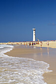 Fuerteventura,  Canary Islands,  Spain