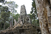 Ruine des Tempels Preah Palilay zwischen Bäumen, Angkor, Provinz Siem Reap, Kambodscha, Asien