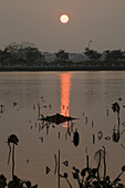 Sonnenuntergang über dem Ho Tay See in Hanoi, Provinz Ha Noi, Vietnam, Asien