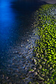 Algae covered pebbles on the beach at night, Ponta do Sol, Madeira, Portugal