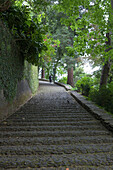 Steps to Nossa Senhora do Monte Church, Funchal, Madeira, Portugal