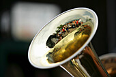 Spiegelung in einer Tuba, Steiermark, Österreich