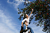 Frau auf der Schulter von einem Mann streckt sich nach einem Apfel, Steiermark, Österreich