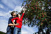 Couple under an apple tree, woman reaching for an apple, Styria, Austria
