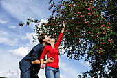 Couple under an apple tree, woman reaching for an apple, Styria, Austria