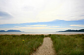 Dune landscape and view at the Atlantic, Inch, Dingle Peninsula, County Kerry, west coast, Ireland, Europe