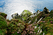Blick von oben auf Felsküste und Meer, Klippen von Croaghaun, Achill Head, Achill Island, County Mayo, Westküste, Irland, Europa