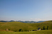 Blick auf Scheune und Heuhaufen auf einer Alm, Luftkurort Paltinisch, Transsilvanien, Siebenbürgen, Rumänien, Europa