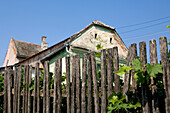 Traditionelles siebenbürgisches Haus mit Wein bewachsenem Gartenzaun, Daia, Sibiu, Transsilvanien, Siebenbürgen, Rumänien, Europa