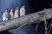 Vier nackte Personen sitzen auf einem Baumstamm vor einem Wasserfall, See, Tirol, Österreich