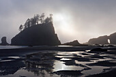 Sea Stacks at dusk, Pacific Coast, Olympic Nationalpark, Washington, USA