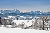 Winter scenery with Zugspitze, Bavarian Alps, Upper Bavaria, Germany, Europe