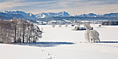 Idyllic winter scenery with Zugspitze, Bavarian Alps, Upper Bavaria, Germany, Europe