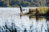 Carp Fisherman, Pirot Pond, Forest Of Troncais, Allier (03), France