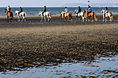 Horseback Riding On The Beach, The Lais De Mer Equestrian Center And Riding School, Deauville, Calvados (14), Normandy, France