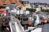 Boat And Seagulls, The Port Of Trouville-Sur-Mer, Calvados (14), Normandy, France
